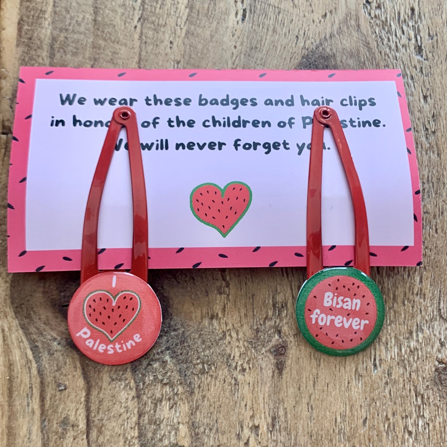 Palestine Hair Clips