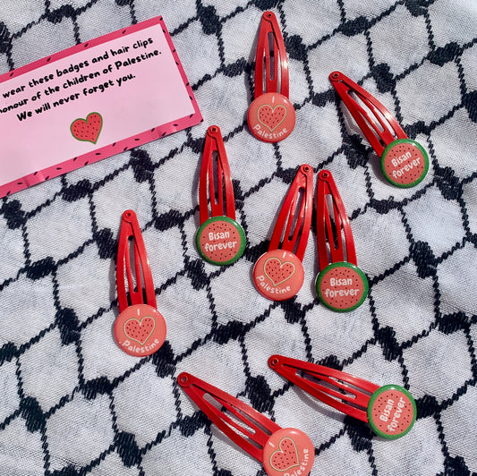 Palestine Hair Clips