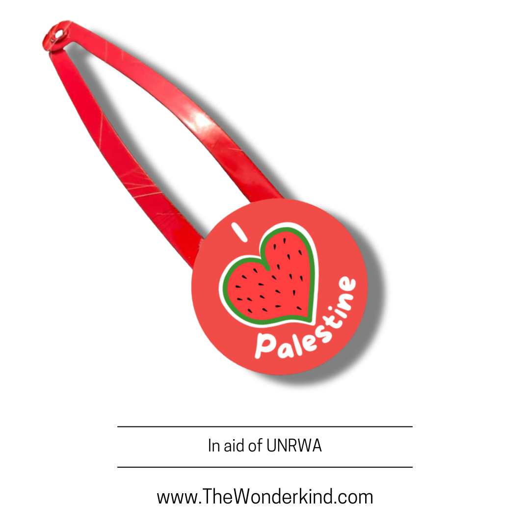 Palestine Hair Clips