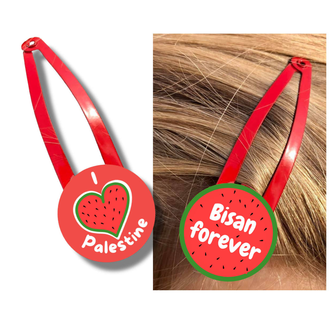 Palestine Hair Clips