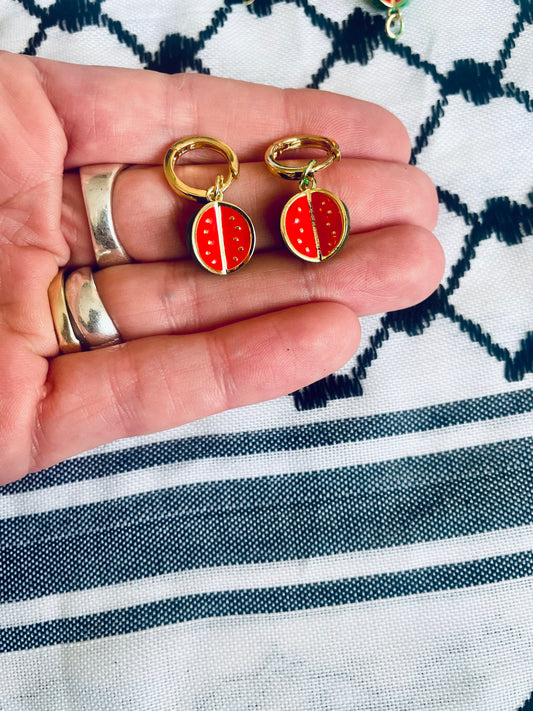 Round Gold-Plated Watermelon Earrings in aid of Palestine