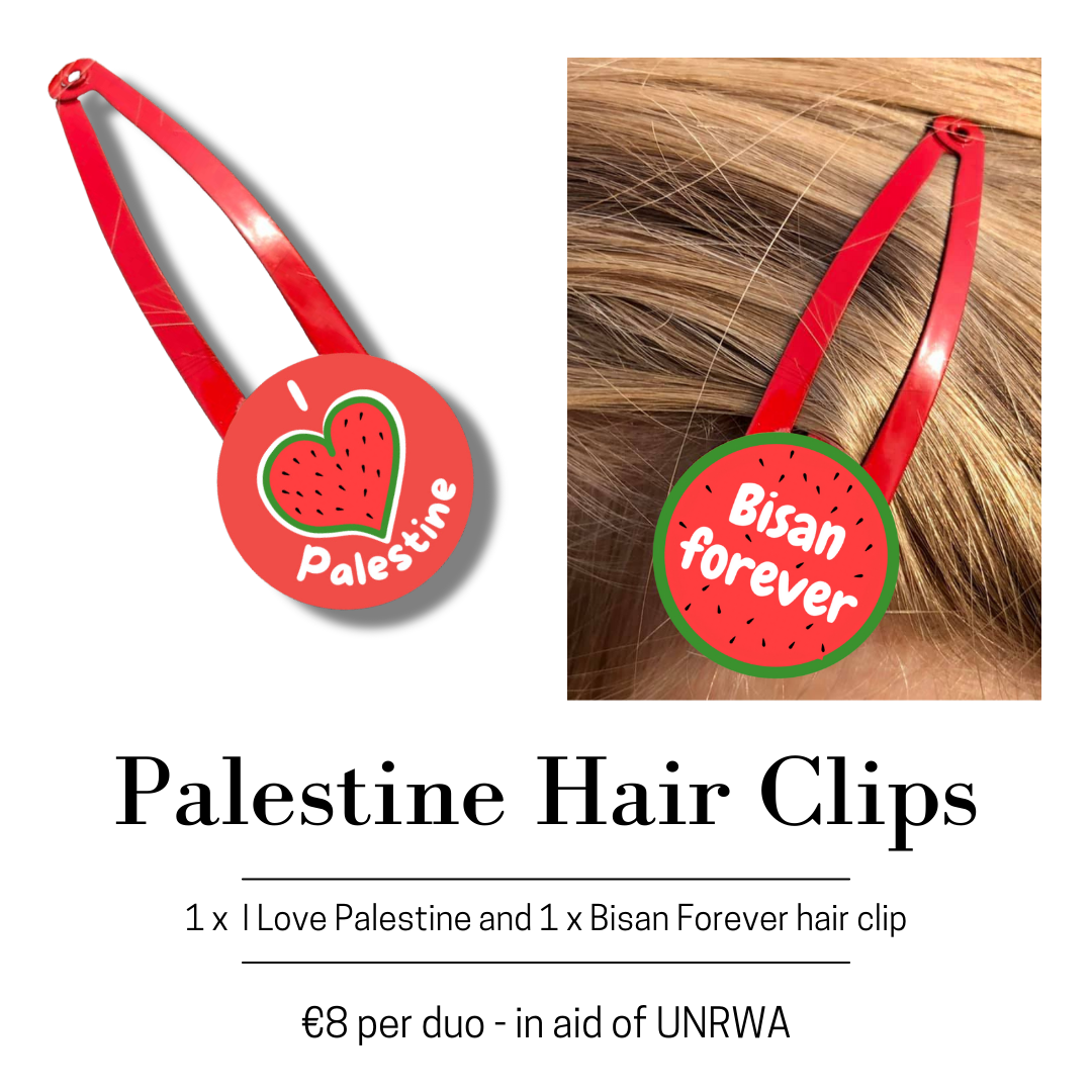Palestine Hair Clips